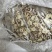 莲子帽白莲子切片入药打粉酿酒好原料