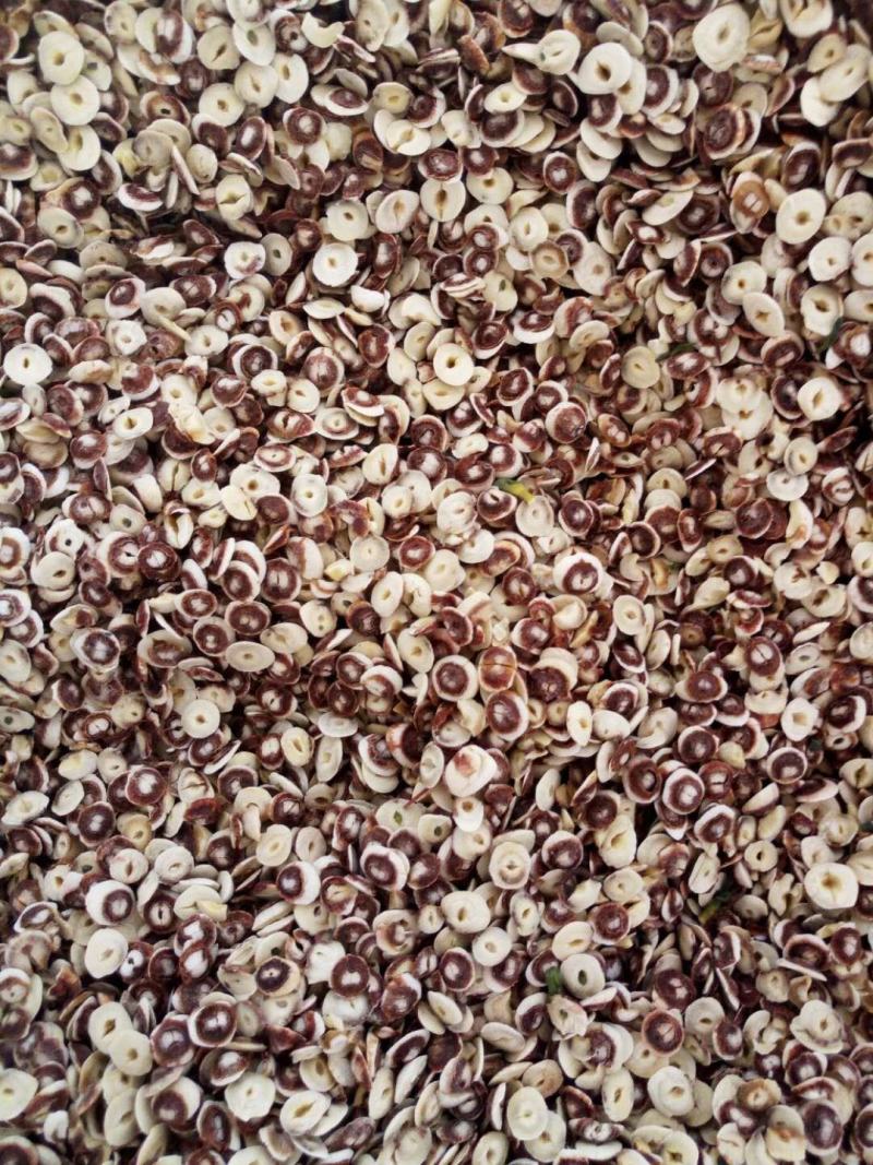 莲子帽白莲子切片入药打粉酿酒好原料