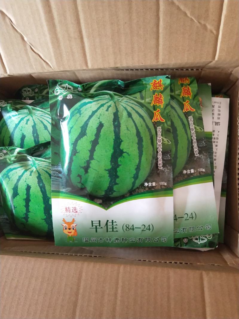西瓜穴盘苗，基地直销，保质保量，品种齐全，代育量大从优