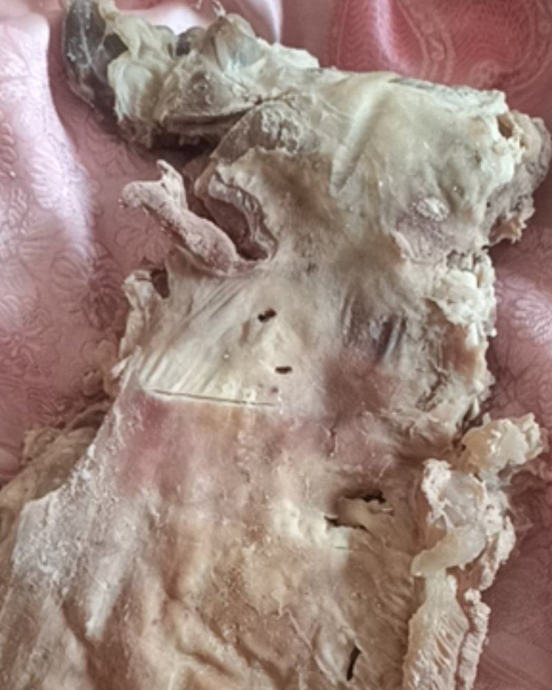 熟羊肉，熟度高