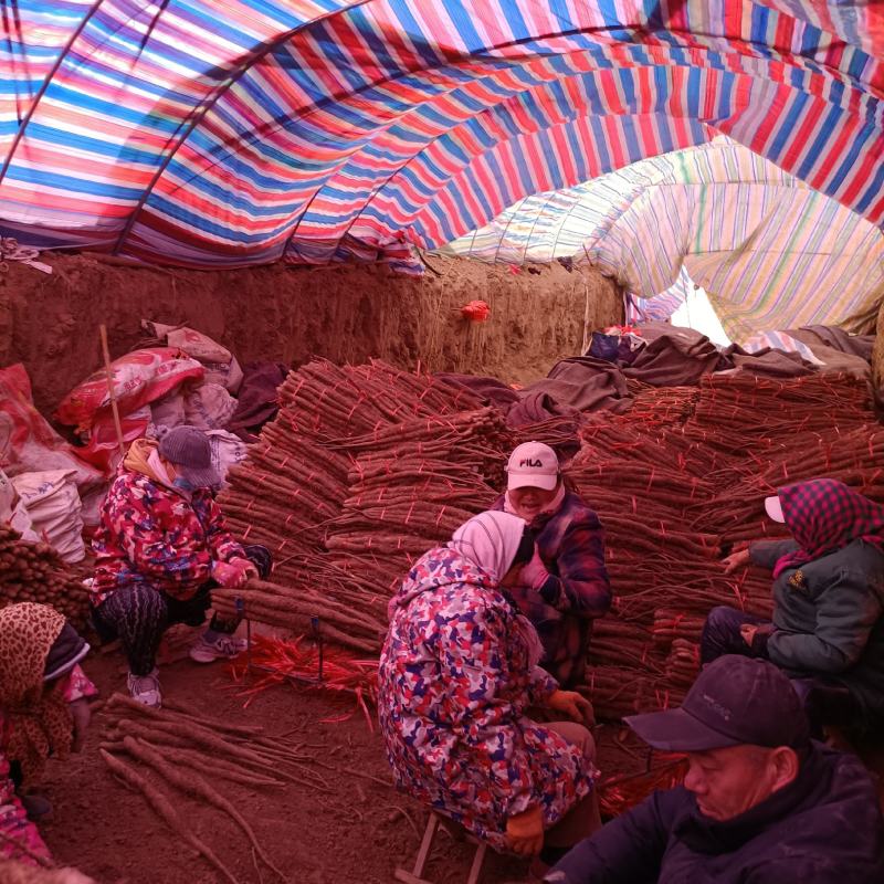 山西永济铁棍山药，全国发货，量大优惠