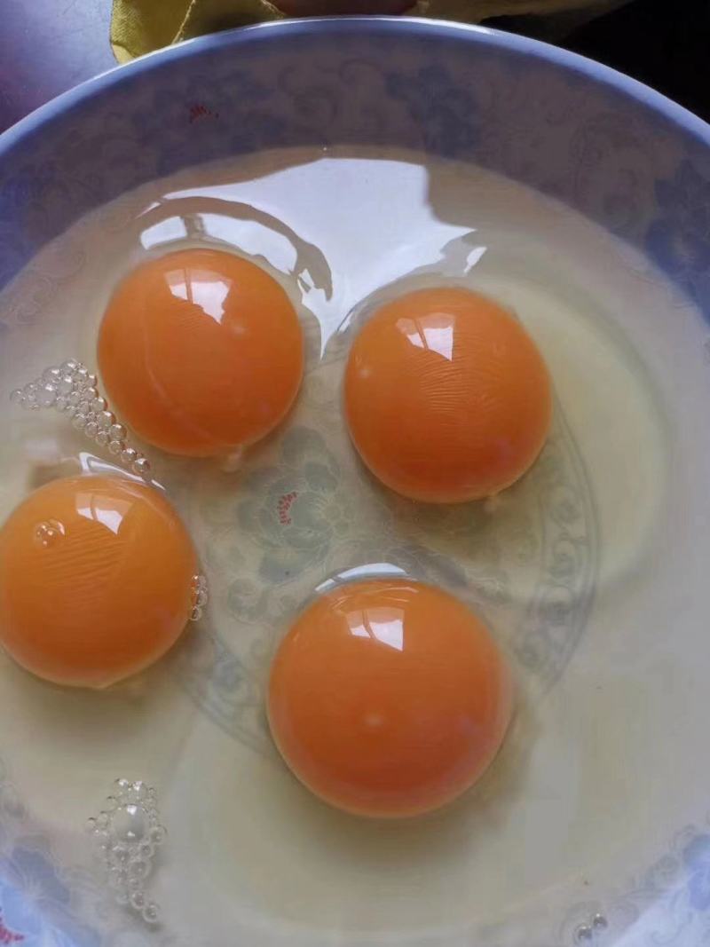 每天现捡新鲜土鸡蛋，量大从优