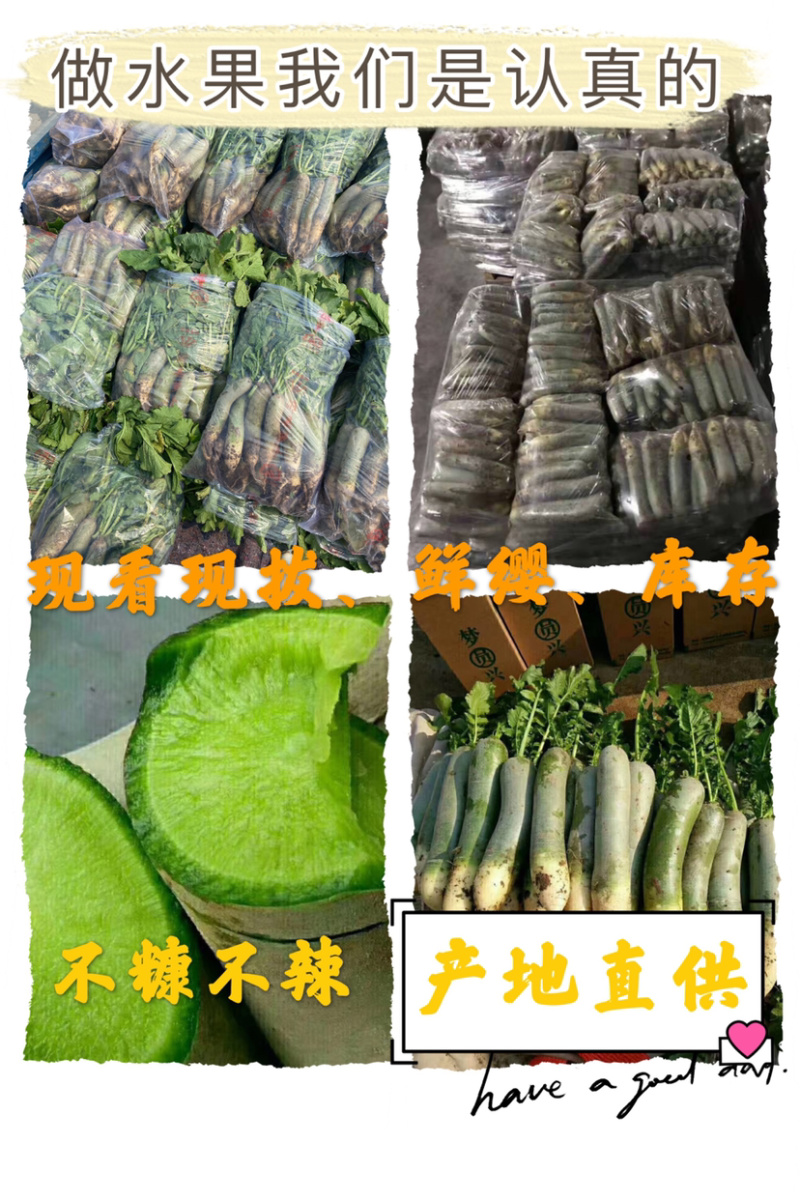 水果萝卜电商团购口感好脆甜货源充足个个茬口好