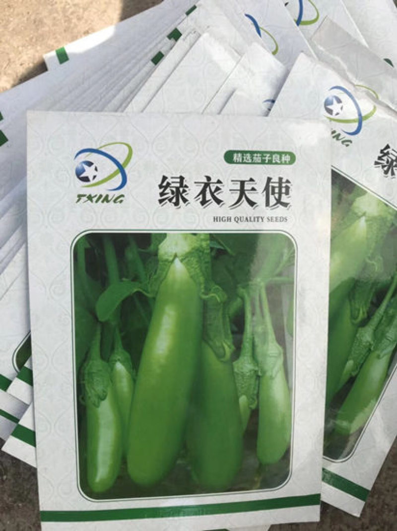 青皮茄子苗绿灯泡圆茄苗代育嫁接茄子苗绿皮长茄种苗