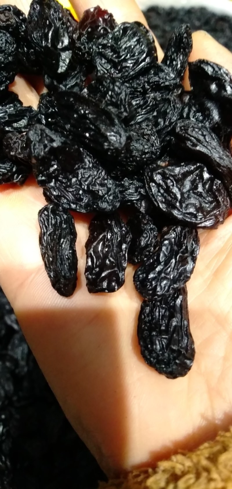【有好货】特大精品水洗黑加仑源头货全国批发可视频看货量大