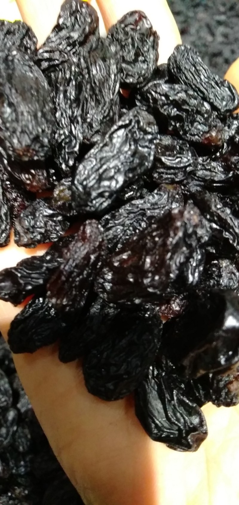【有好货】特大精品水洗黑加仑源头货全国批发可视频看货量大