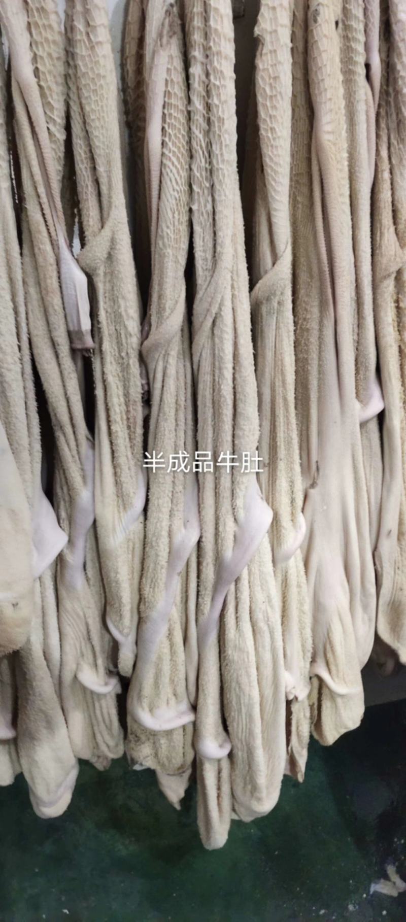 半成品牛肚，全熟牛肚，厂家直销！