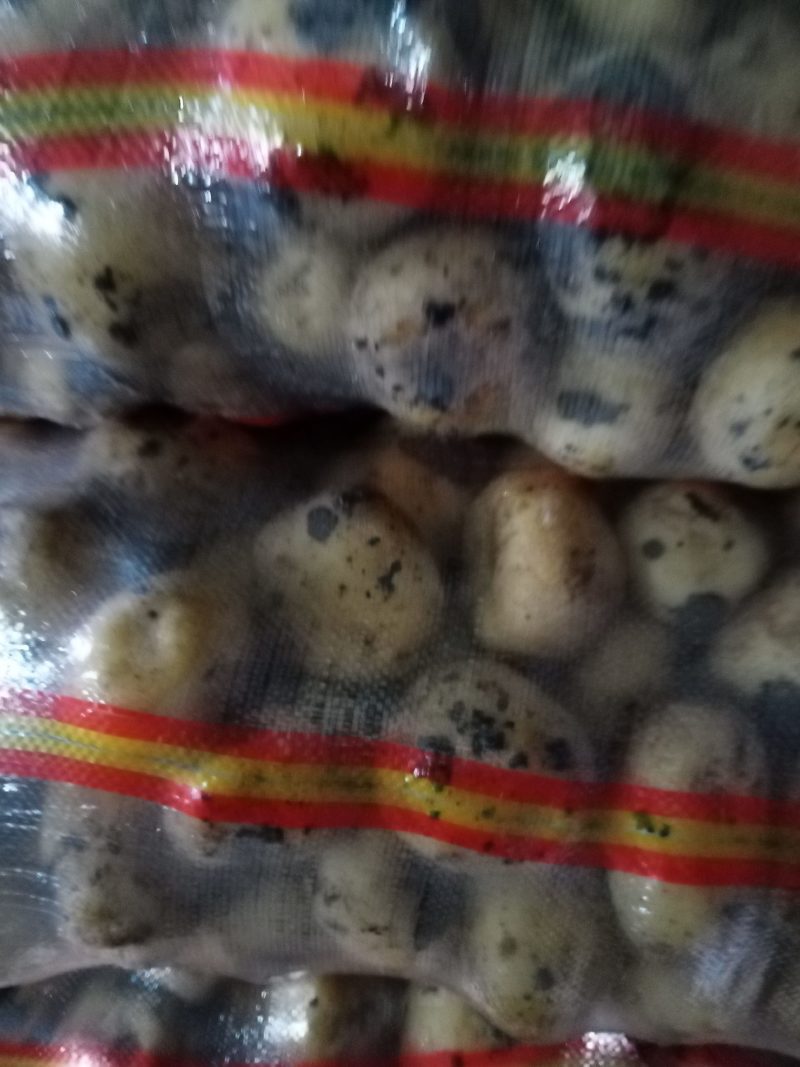 内蒙呼伦贝尔兴嘉土豆，三两通货，产地直供。