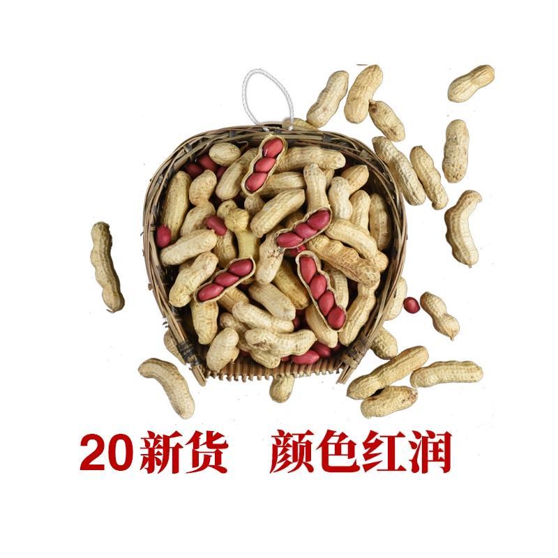 红皮花生带壳生米炒熟带壳红衣花生新鲜货晒干包邮