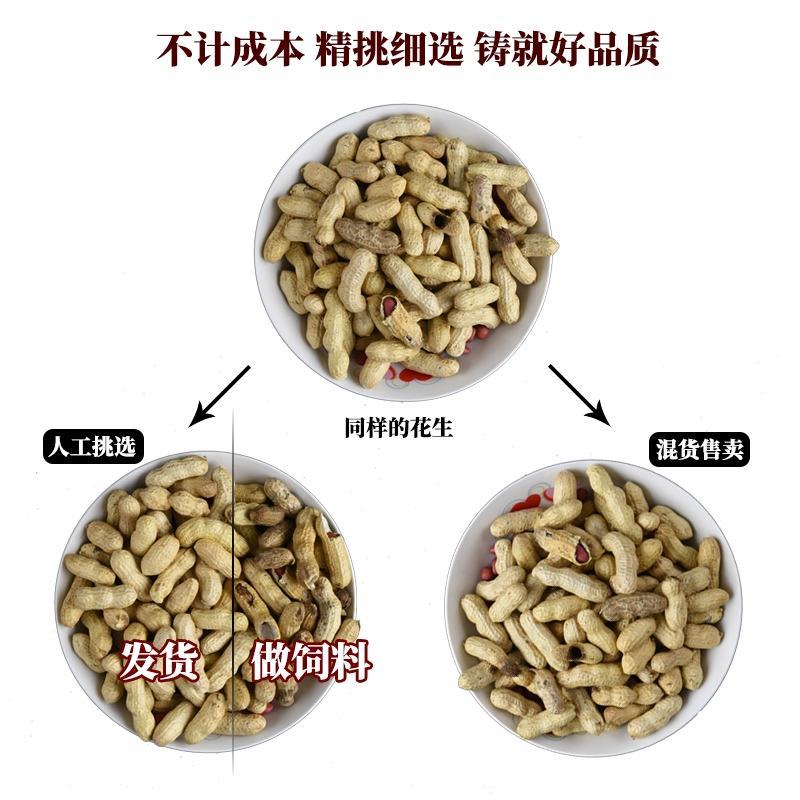 红皮花生带壳生米炒熟带壳红衣花生新鲜货晒干包邮