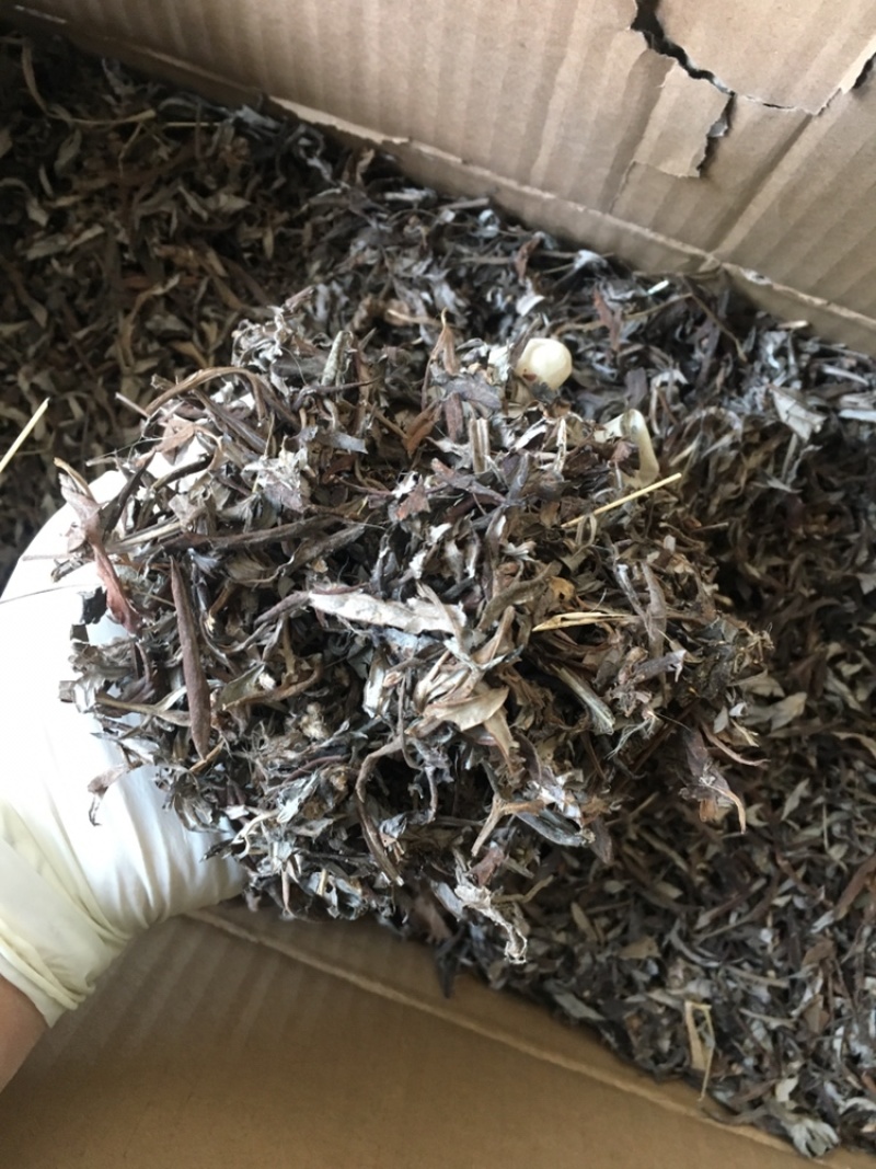 野生鲜艾叶(干)家乡纯野生艾草直销无农药无化肥污染