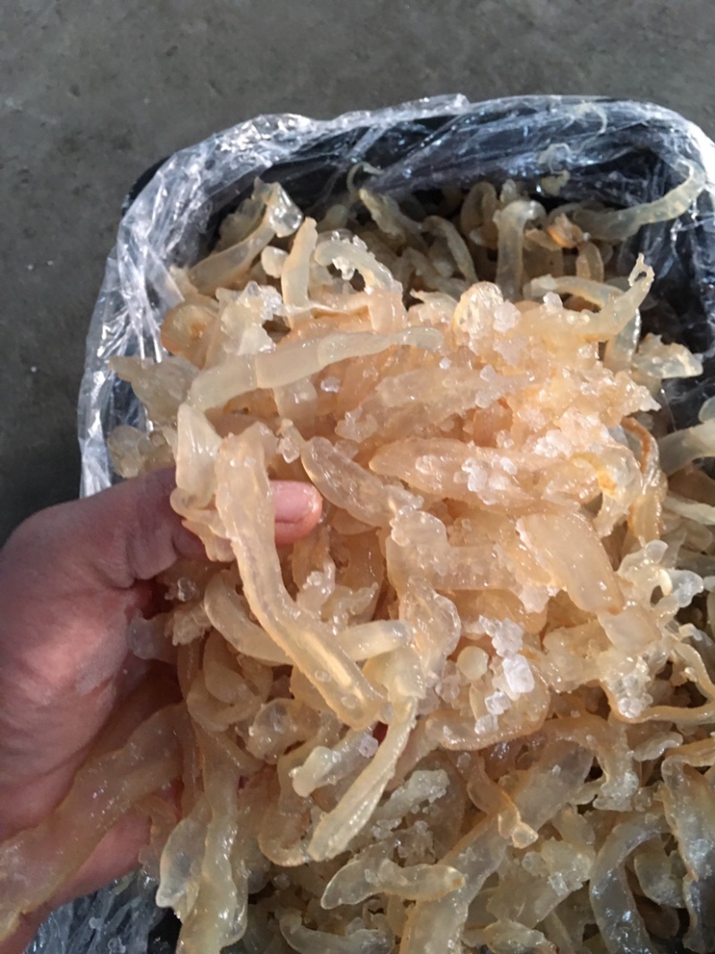 海蜇丝海蜇一箱13斤可电商分小包发货全国代发活