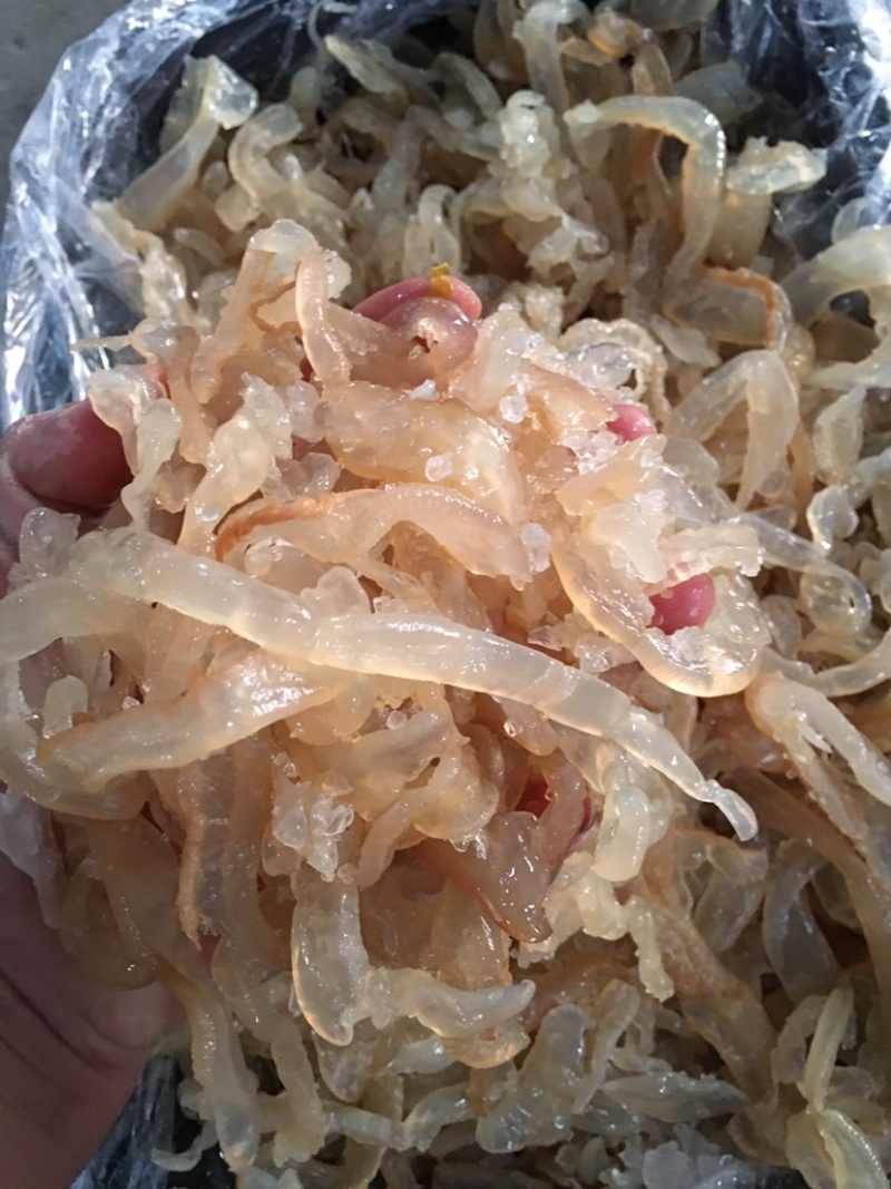 海蜇丝海蜇一箱13斤可电商分小包发货全国代发活