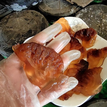 海蜇头叶片质量杠杠滴！每桶净9斤！产地直发无差价