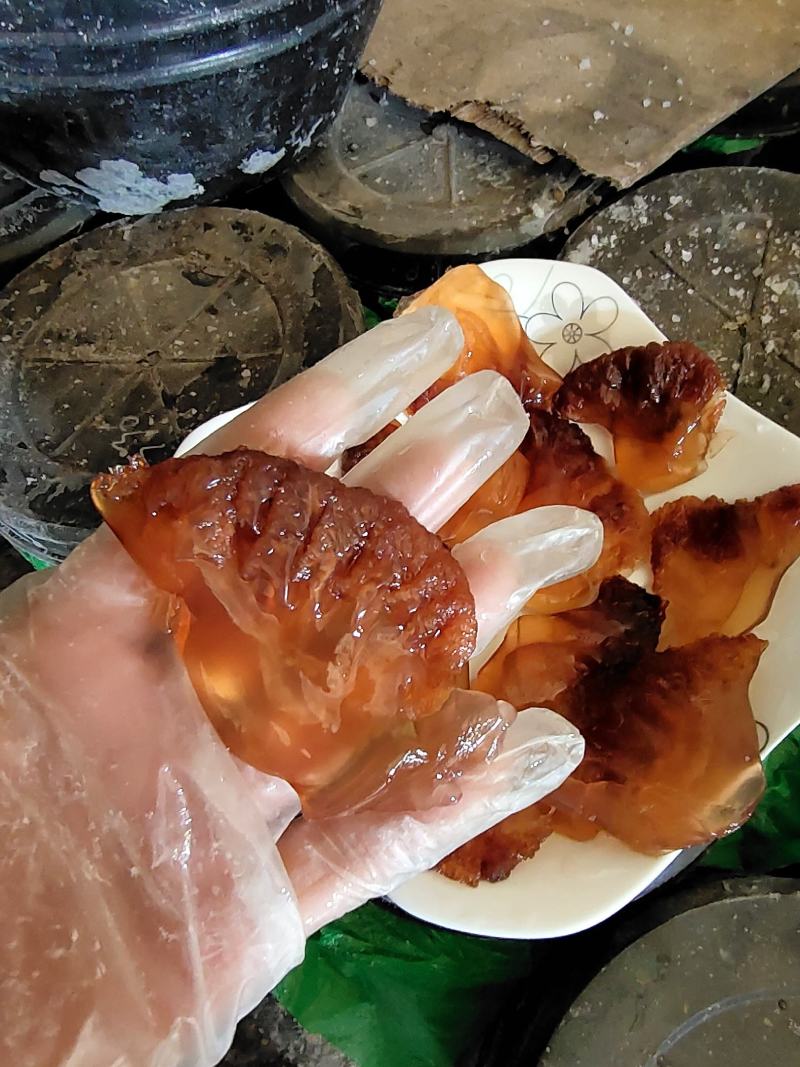 海蜇头叶片质量杠杠滴！每桶净9斤！产地直发无差价