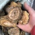 大黄天然无硫大黄可打粉产地直销一手货源