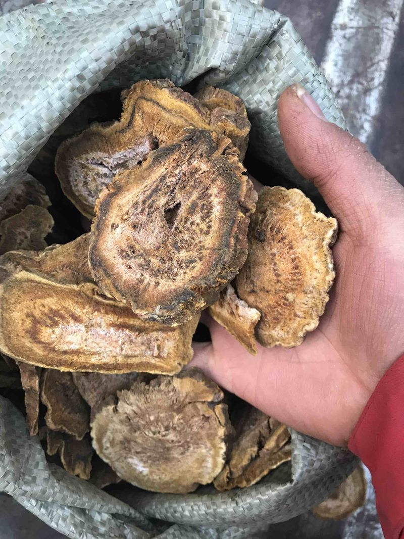 大黄天然无硫大黄可打粉产地直销一手货源