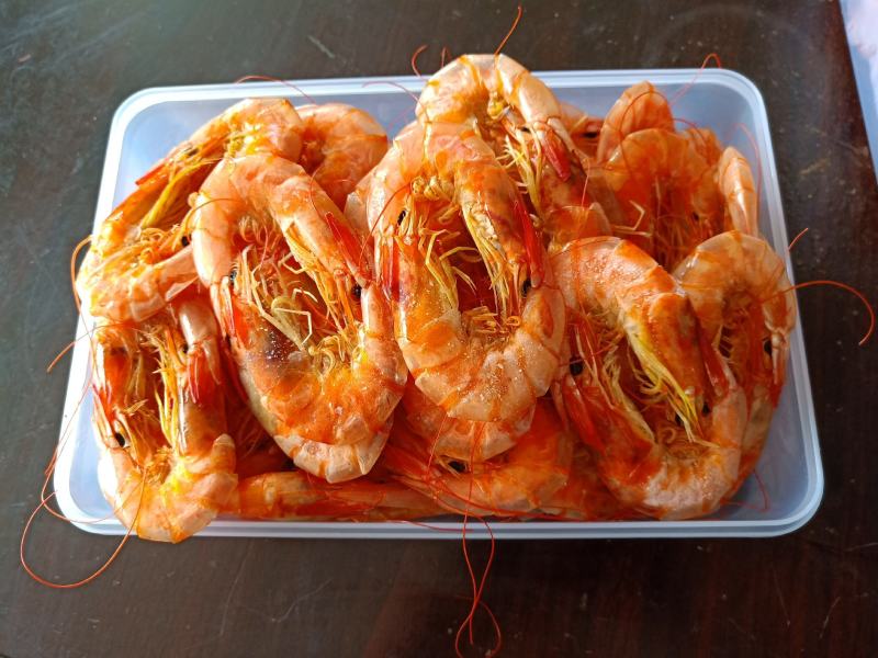 渤海湾海虾对虾无盐的海虾产地直发
