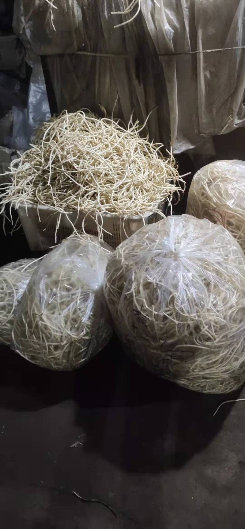 新鲜鱼腥草根白茎折耳根！根同筷子粗，质量保证，根白鲜嫩，