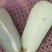 【优选】紫长茄，无籽。大量供应，欢迎联系！