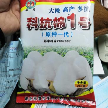 科抗棉1号大桃高产多抗优质抗虫棉花种子