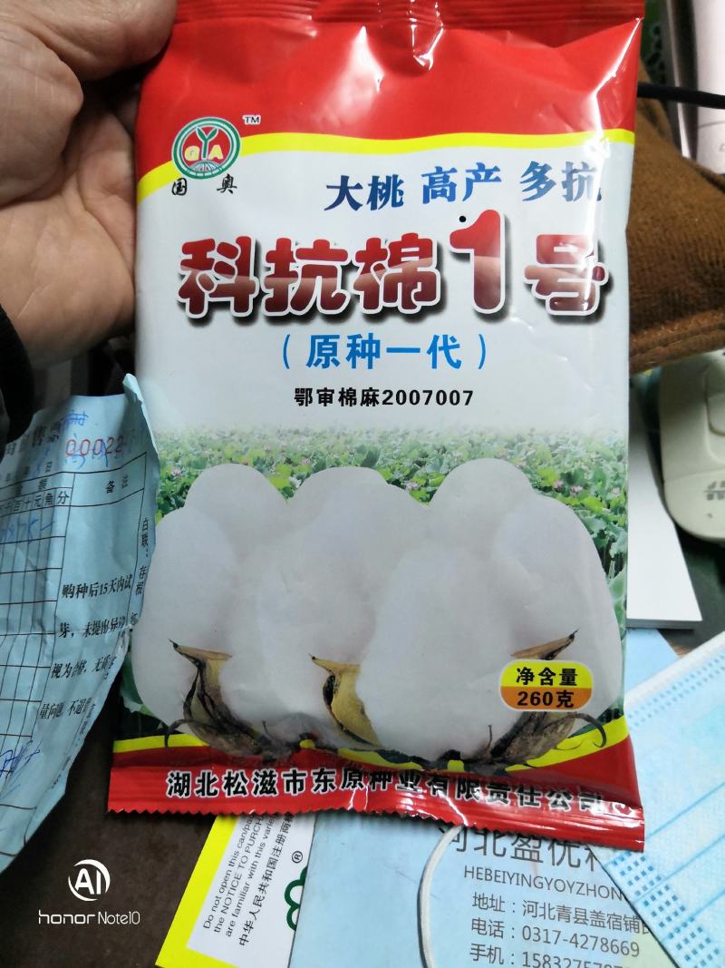 科抗棉1号大桃高产多抗优质抗虫棉花种子