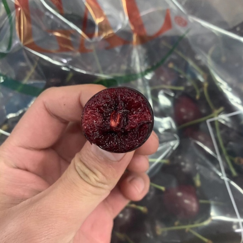 智利车厘子单J10斤装新鲜水果现货进口樱桃一件代发