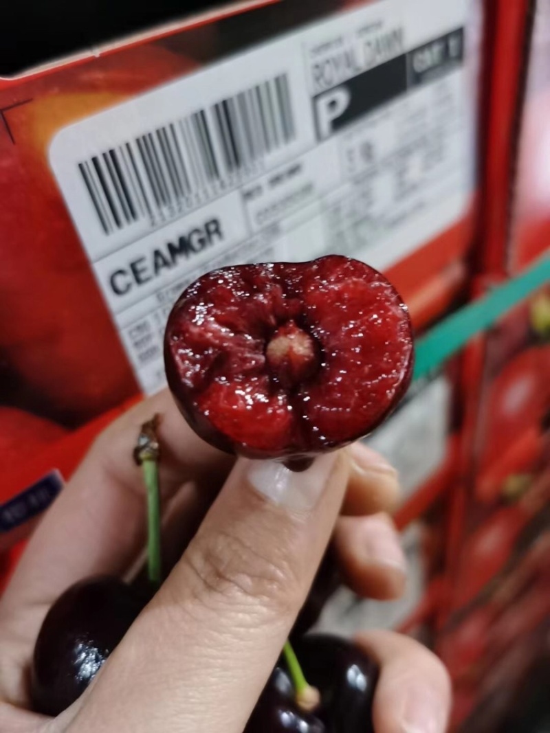 智利车厘子3J10斤现货新鲜进口樱桃每天价格浮动