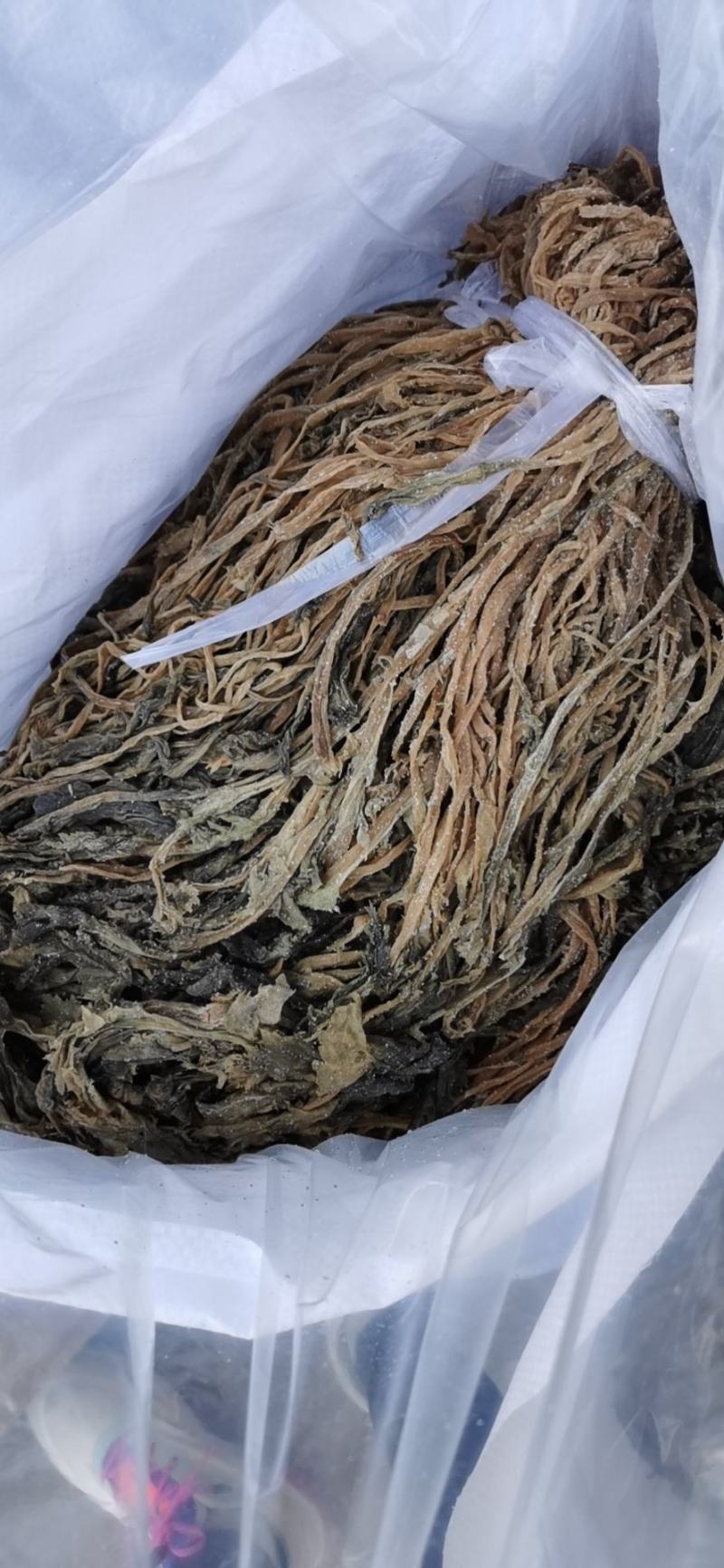 整棵雪里蕻梅干菜2025年陈菜，2026年新菜整棵好清洗