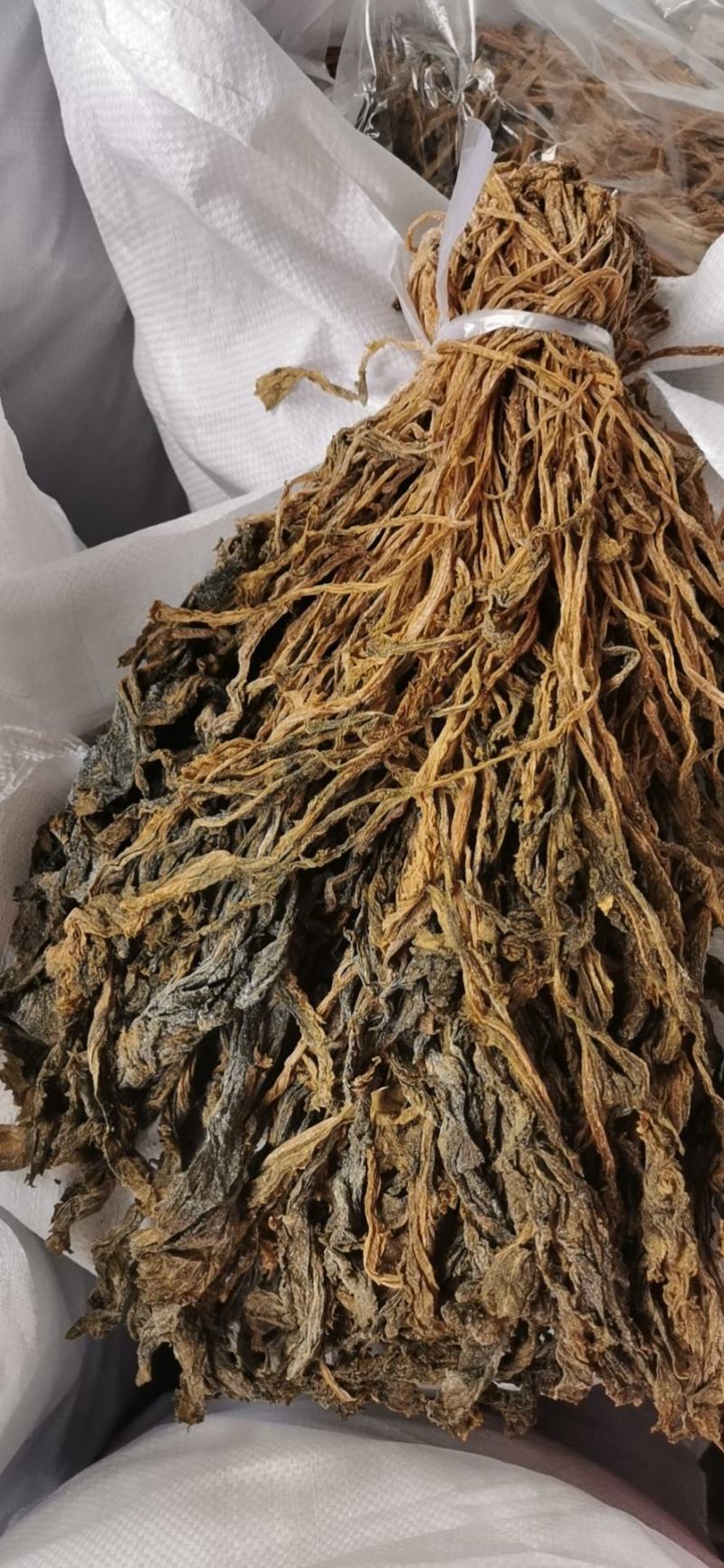 整棵雪里蕻梅干菜2025年陈菜，2026年新菜整棵好清洗