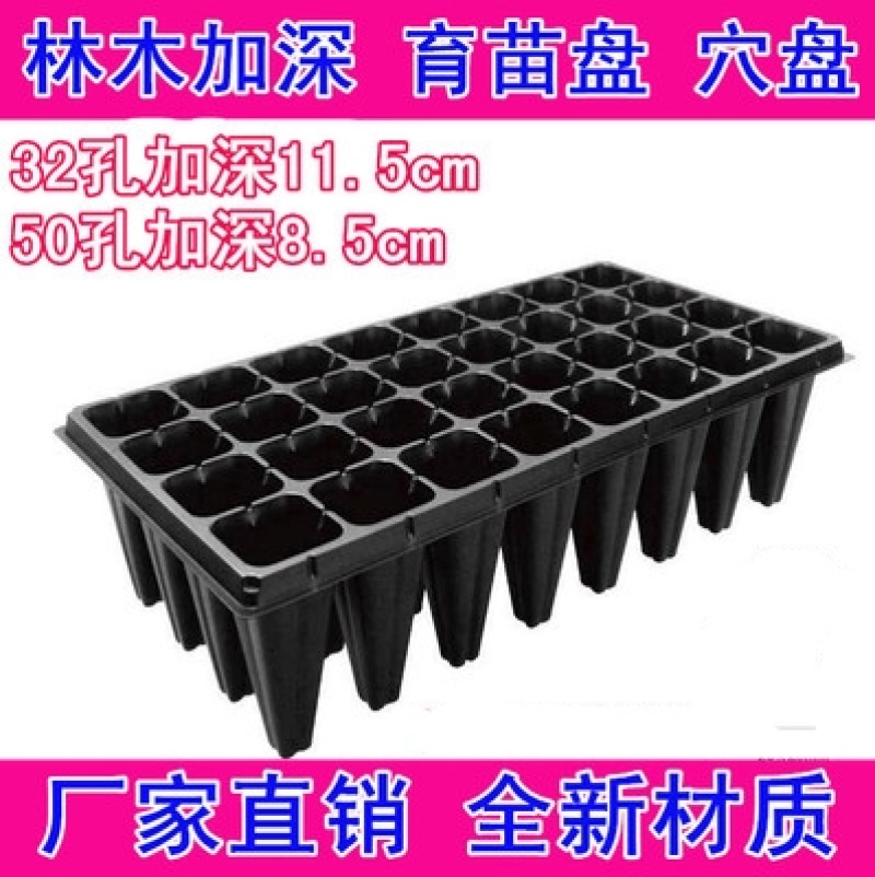 15/21/32/50孔高脚林木育苗盘草莓樱桃菠萝穴盘