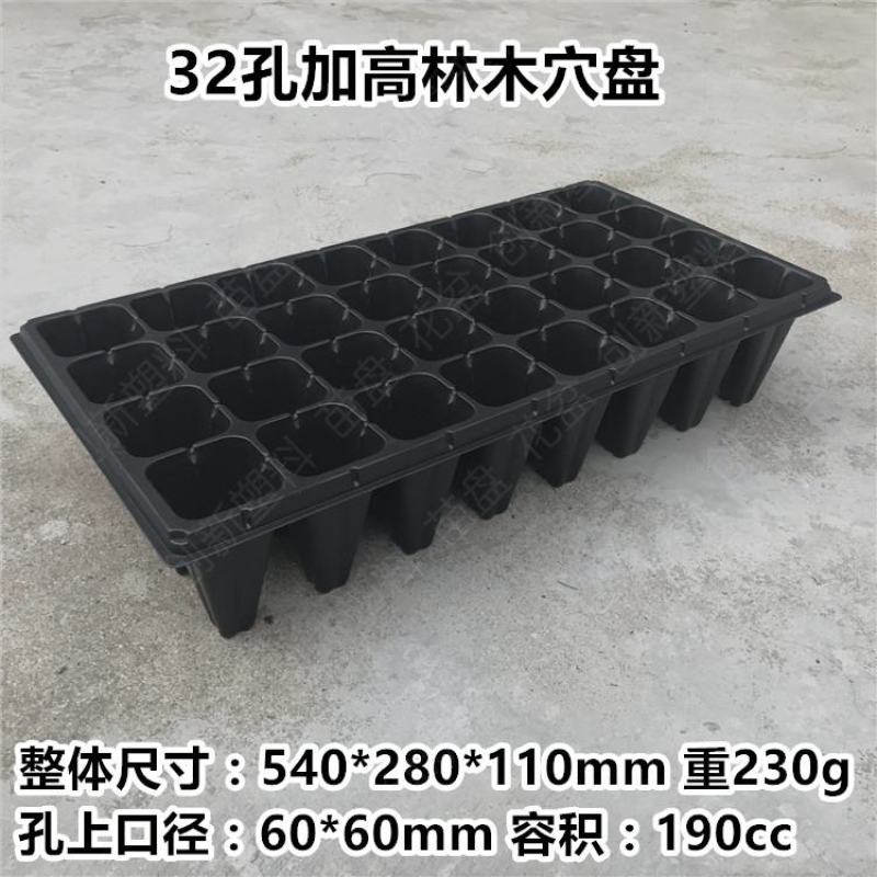 育苗盘穴盘多肉蔬菜种植芽菜盘平盘加厚苗木播种育苗盆菜苗培