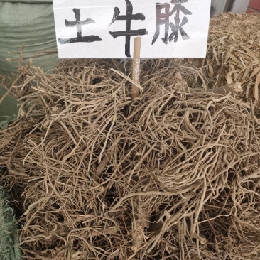 土牛膝，根部，阳枝切片