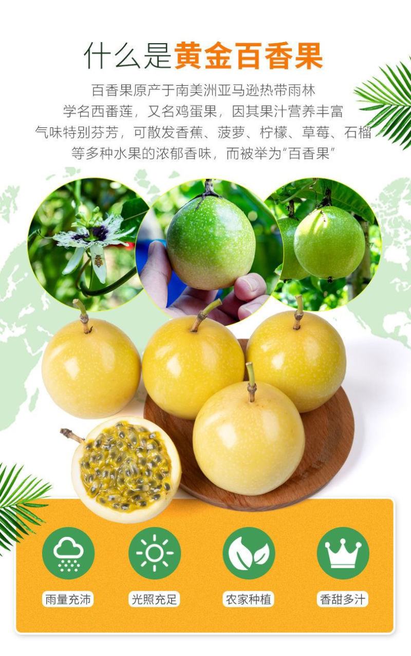 黄金百香果大果5斤3斤12个应季新鲜水果黄色皮鸡蛋果整箱