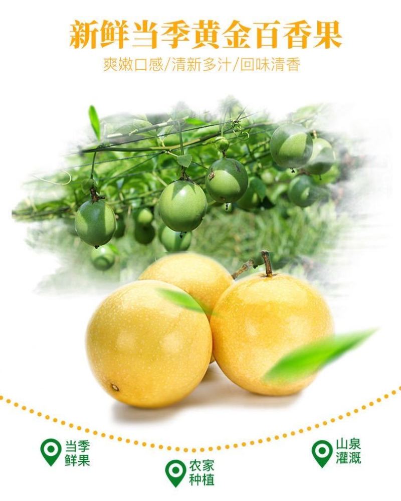 黄金百香果孕妇新鲜水果1/3/5斤中大果香甜黄色鸡蛋果
