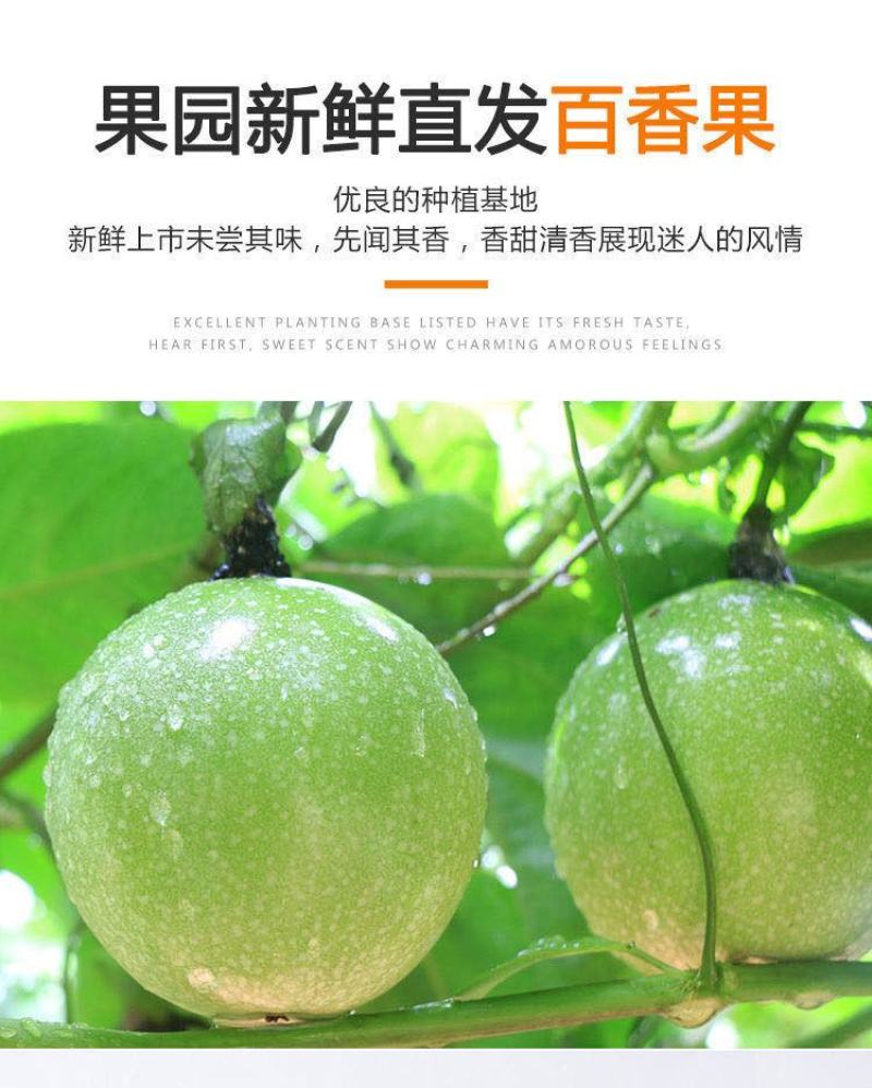 黄金百香果孕妇新鲜水果1/3/5斤中大果香甜黄色鸡蛋果