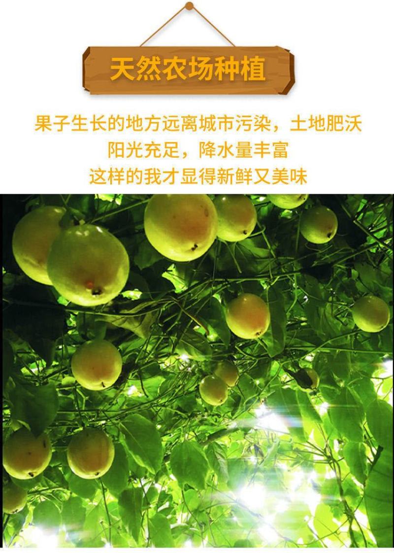 黄金百香果孕妇新鲜水果1/3/5斤中大果香甜黄色鸡蛋果