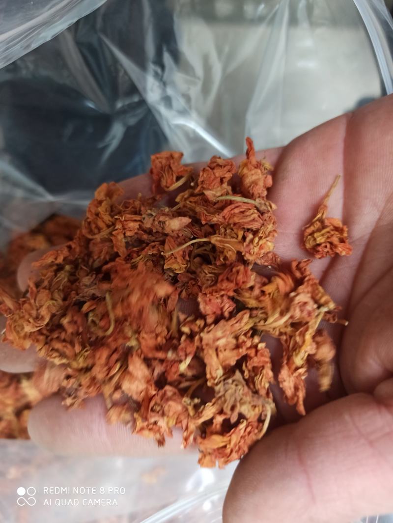 精品罗汉果花新货可打粉专业批发一手货源