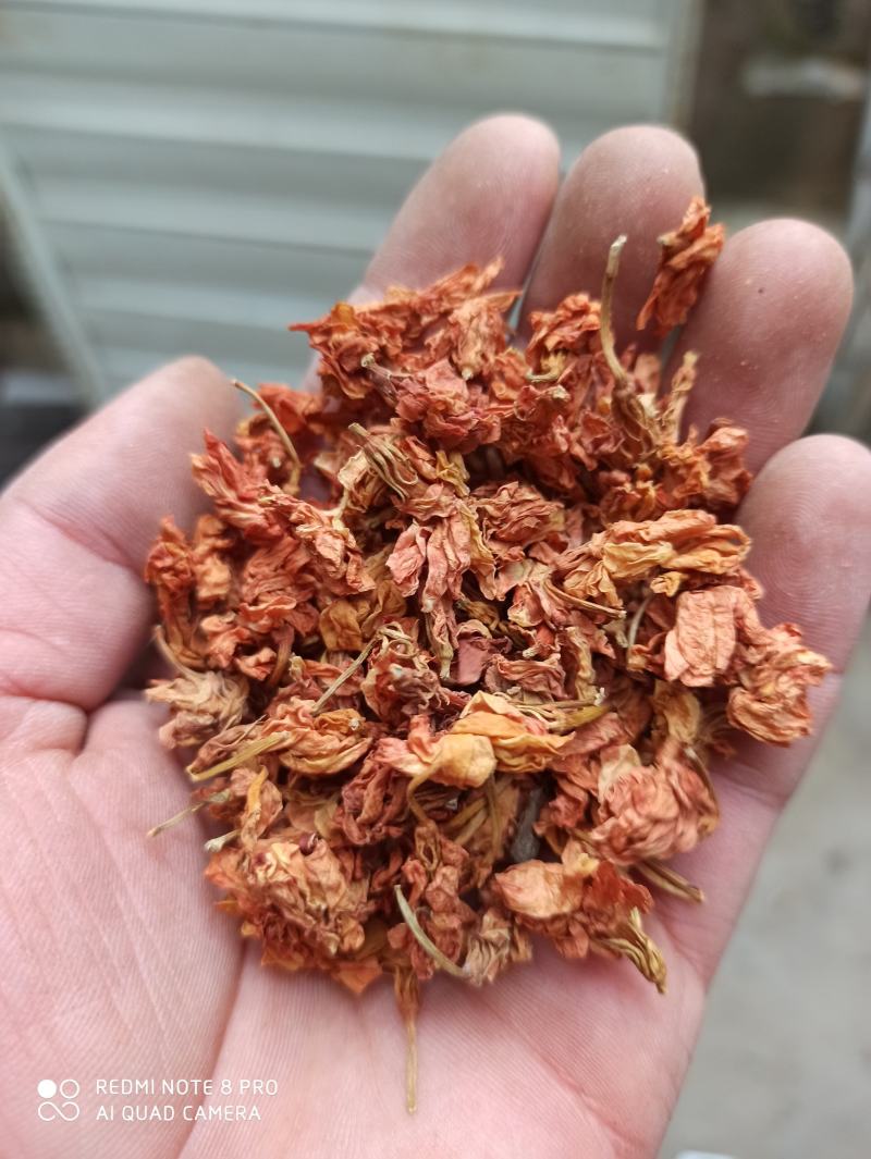 精品罗汉果花新货可打粉专业批发一手货源