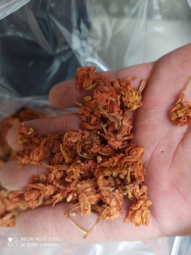 精品罗汉果花新货可打粉专业批发一手货源