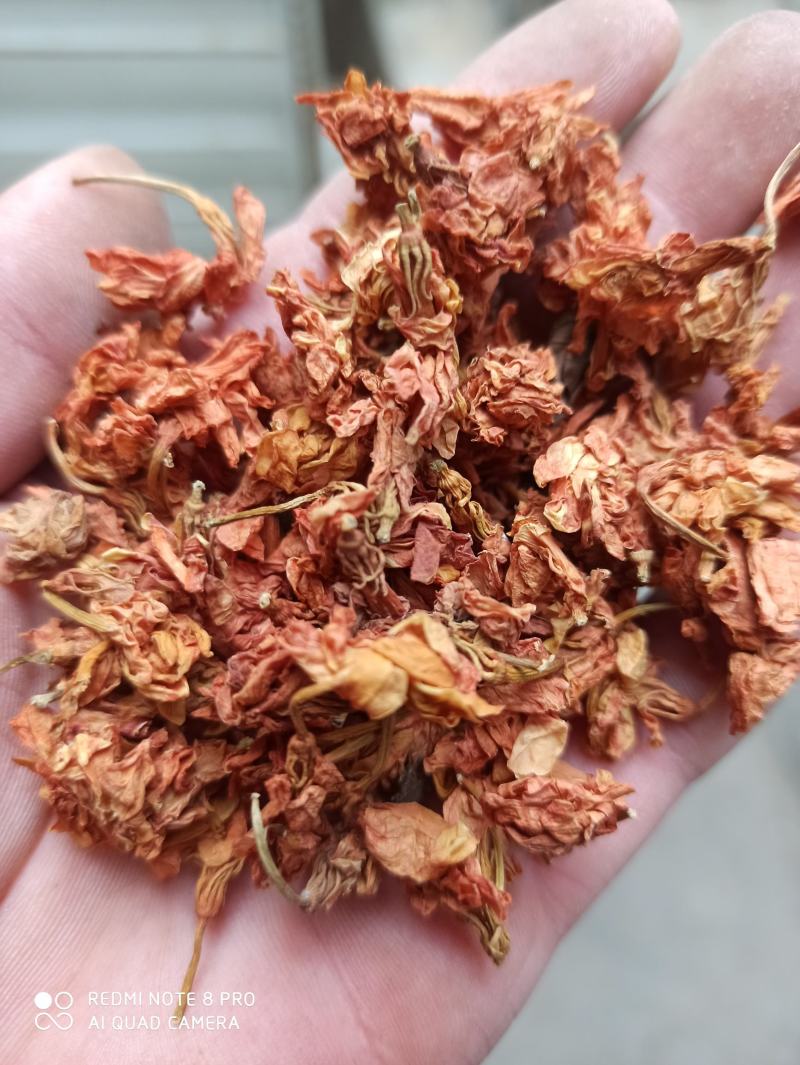 精品罗汉果花新货可打粉专业批发一手货源