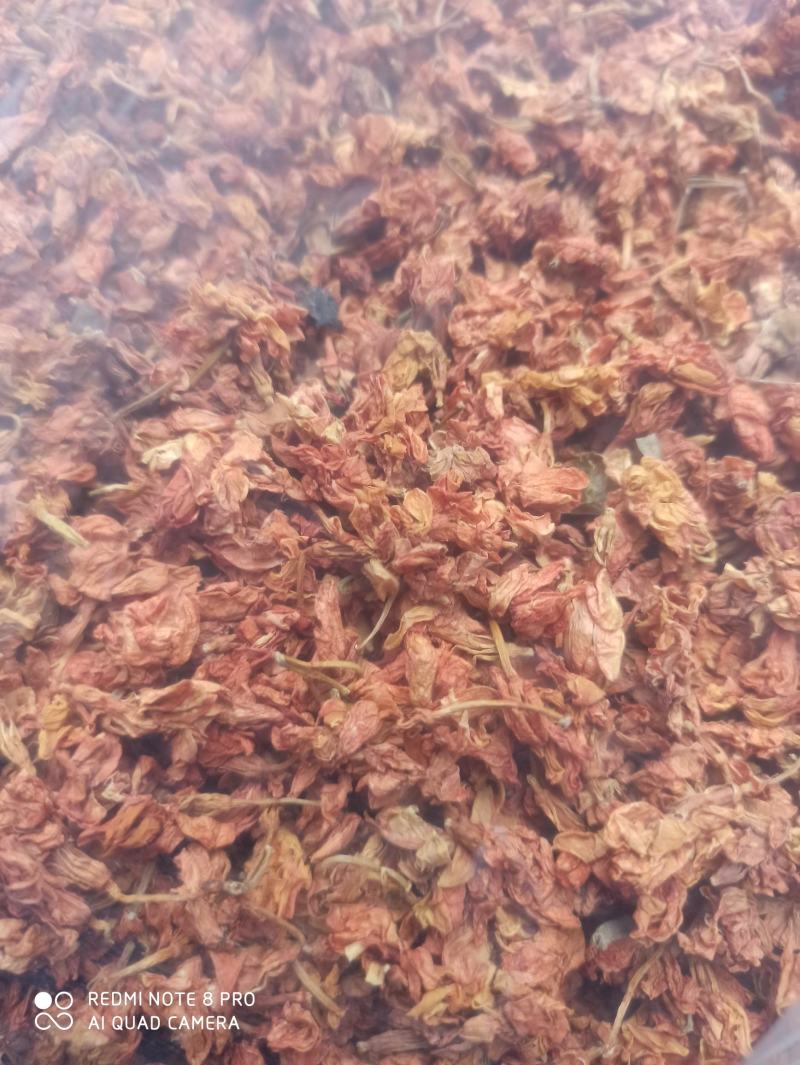 精品罗汉果花新货可打粉专业批发一手货源