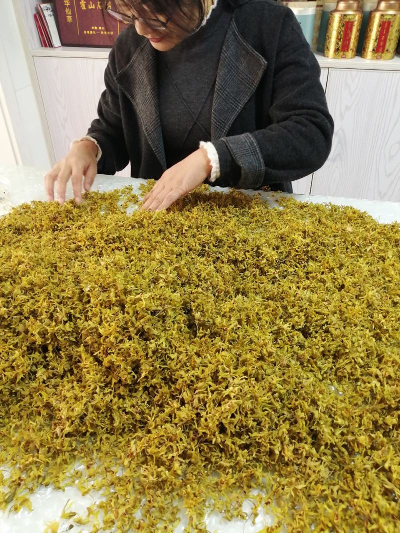 【霍山米斛花】原产地直供当季鲜花全国包邮