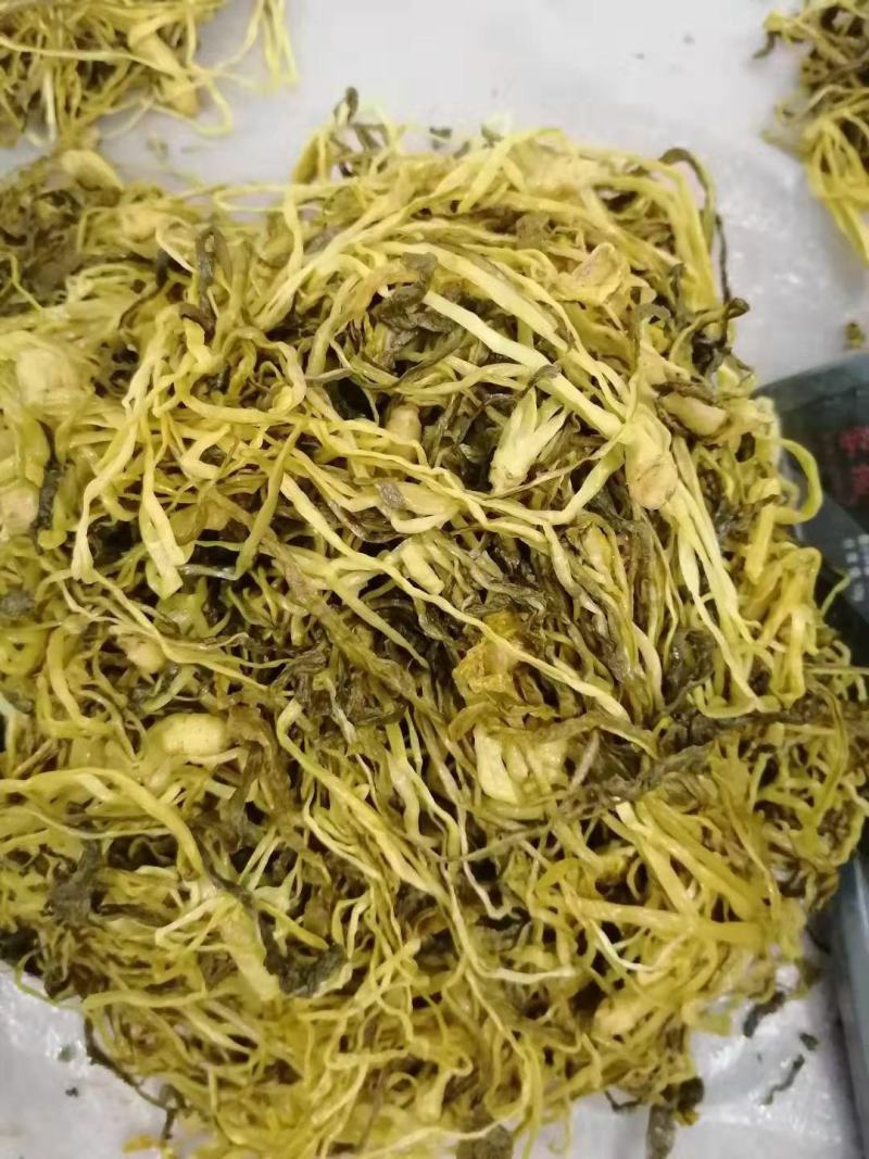 批发怀集甘洒六十日黄菜