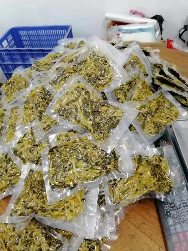 批发怀集甘洒六十日黄菜