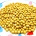 5斤10斤非转基因发芽黄豆东北农家新大豆打榨磨豆浆发芽