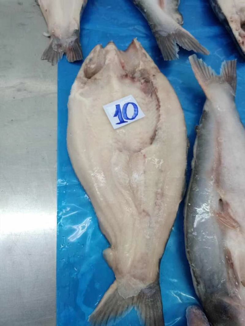 开背巴沙鱼凌波鱼烤鱼烧烤