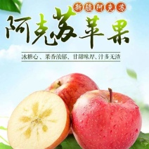 （精品）正宗新疆阿克苏苹果果香浓郁甘甜味厚汁多无渣