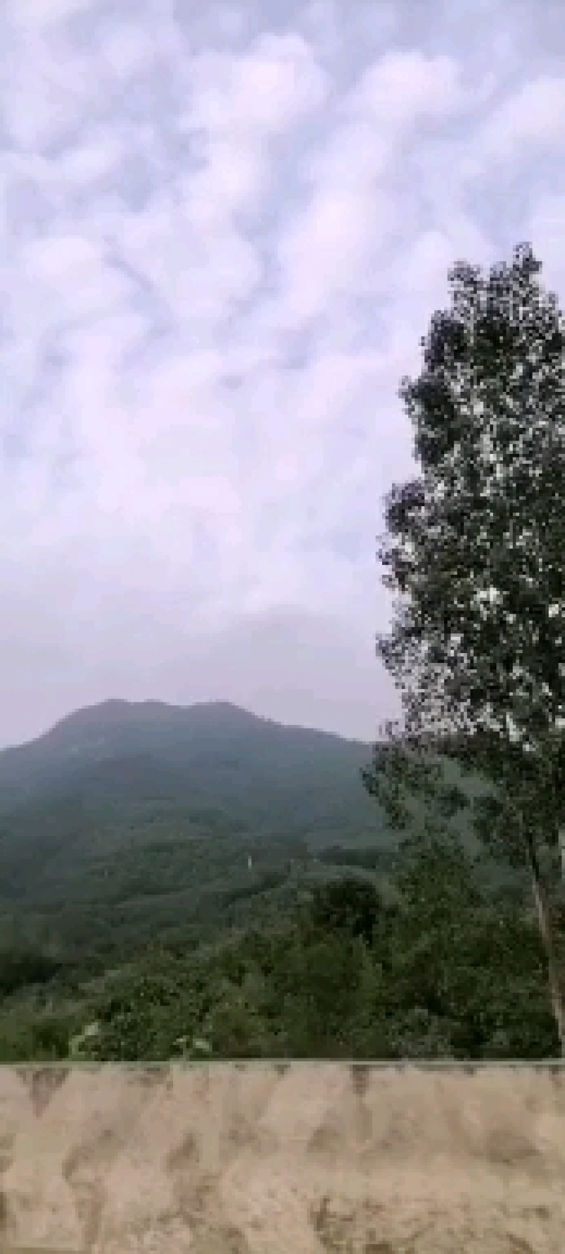 娱蚣：零售：批发。各种规定：一手货源品质保：迎大批采购。