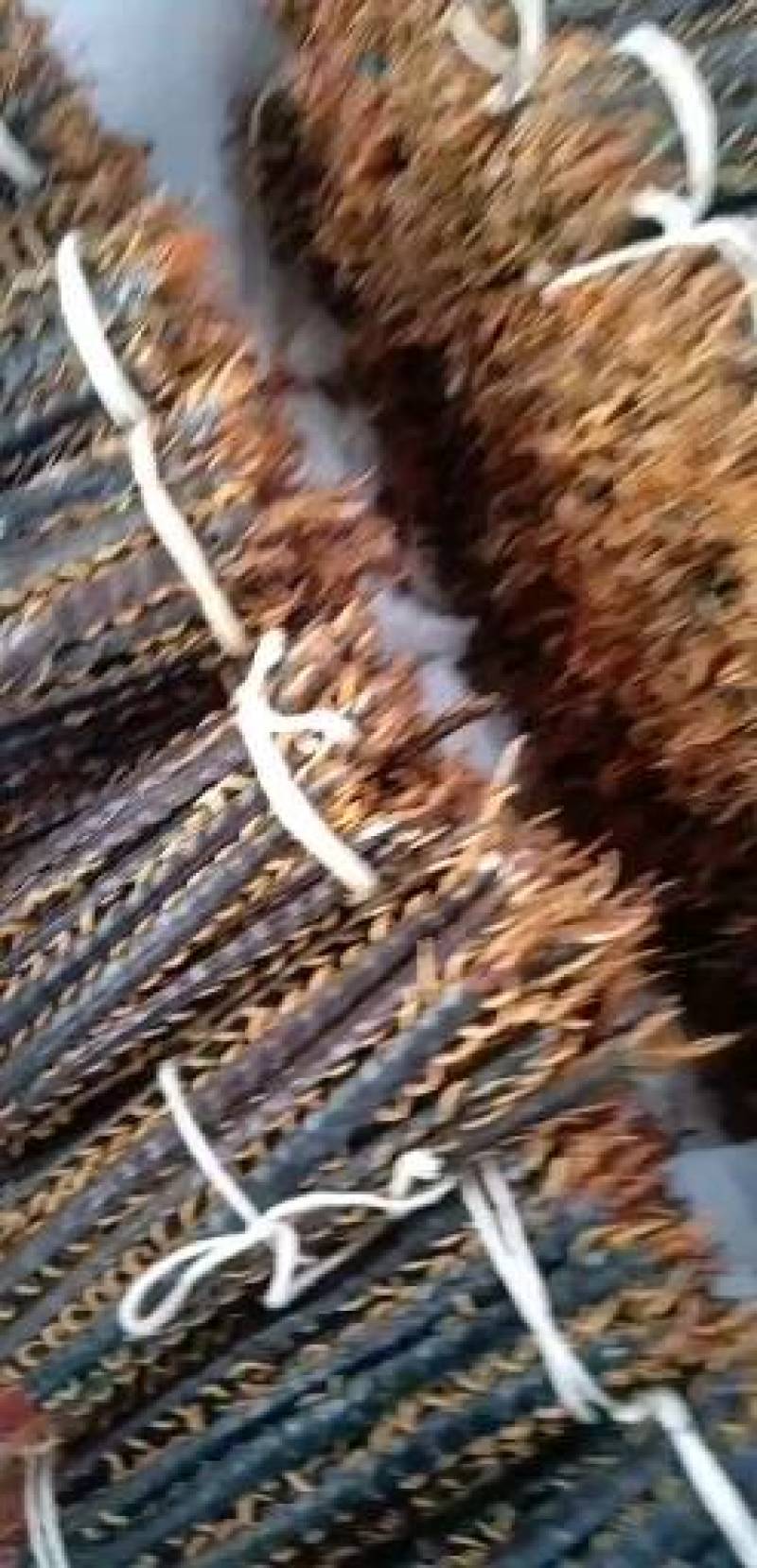 娱蚣：零售：批发。各种规定：一手货源品质保：迎大批采购。